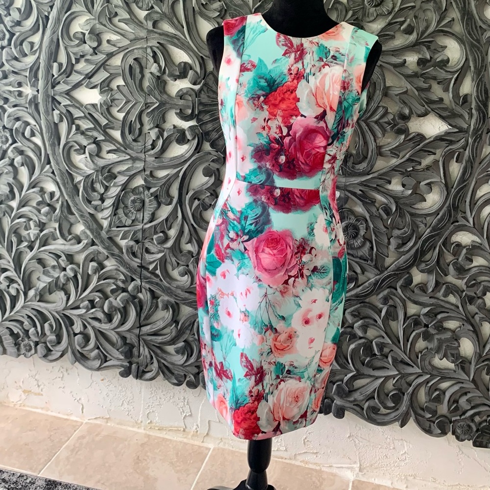 Hello Spring! Calvin Klein Sheath Dress